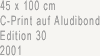 45 x 100 cm